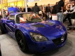 Motorshow 2008 005